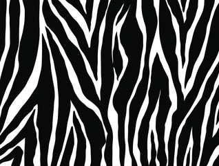zebra skin texture - obrazy, fototapety, plakaty