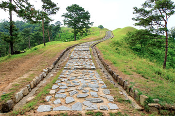 Fototapeta na wymiar Jisandong Ancient Tombs in Goryeong, South Korea.