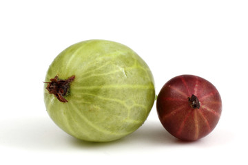 Black-violet and green gooseberry