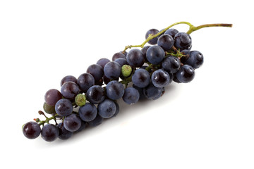 Black wine grape
