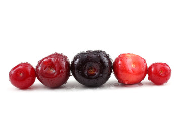 Black and red cherries