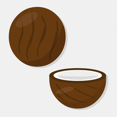 coconut vector illustration in flat style