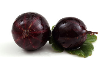 Black-violet gooseberry