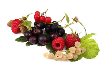 Different berries mix