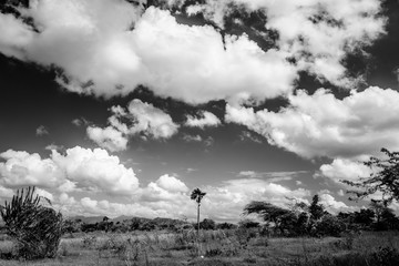 storm clouds in the sky