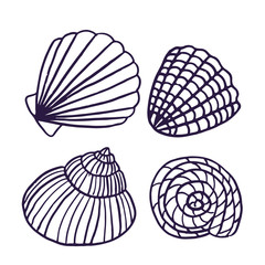 Vector set of sea elements from shells  for design in doodle style hand-drawn  isolated on white background.
