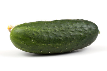 Cucumber