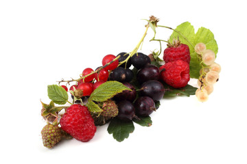 Different berries mix