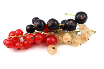 Red, white and black currant