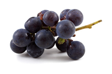 Black wine grape