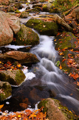 Fototapeta na wymiar Flowing stream on the Blanchet Trail Gatineau Park in the Fall