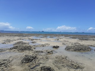 Ilha de Coroa, Itaparica