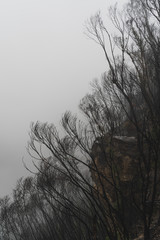 Govetts Leap Lookout on a moody rainy day with heavy fog. Blue Mountains, New South Wales.