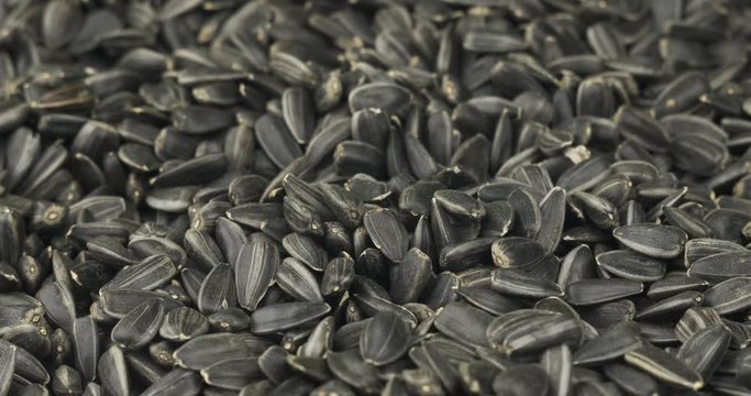 Close-up, wavy background of sunflower seeds. Copy space.