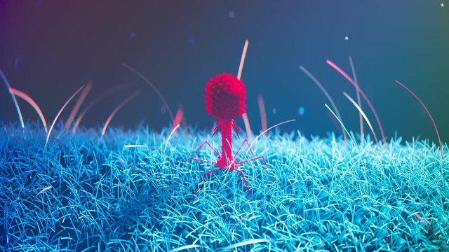Bacteriophage of phage on bacterium surface. Antibiotic alternative. Medicine.