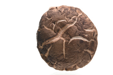 Naklejka premium Shiitake mushrooms isolated on the white background.
