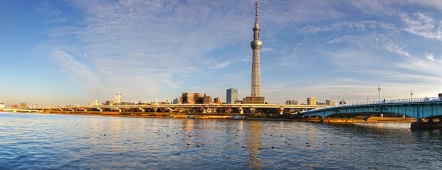 Wide Panoramic Cityscape of Tokyo, Japan from Asakusa District with Bridge over Sumida River and Distant Skytree, World Tallest Tower, on Horizon
