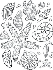 coloring page - summer shells