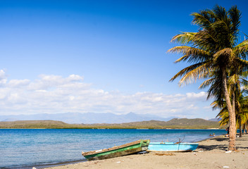 tropical beach with palm trees