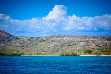 Naklejka premium small island in the sea