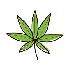 leafs plant ecology hand draw style icon