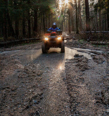 The driver carefully guides the ATV along the ice of the forest road, between the trees the sun's rays © Михаил Мальцев