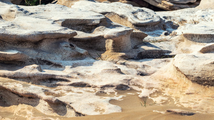Rock fragments on the shore