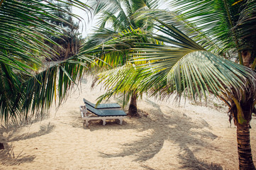 Sunbed under a palm tree on a hot sunny day. Shadow of palm leaves on the sand and empty sunbed. Waiting for tourists.