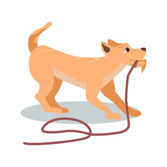 Cartoon Brown Dog Pull Rope Vector Illustration. Cute Playful Puppy Drag Walk Leash. Happy Doggy Want to Play at Playground. Friendly Pet. Domestic Animal Training. Pet Friend. Summer Fun Park