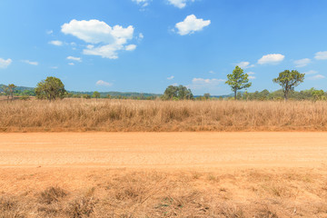 View of dirt road in countryside with blue sky