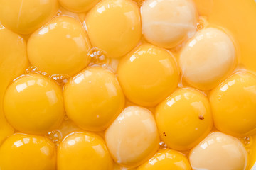 fresh yolks in a plate