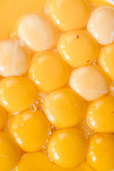 fresh yolks in a plate