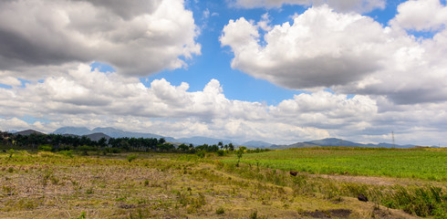 green field and blue sky