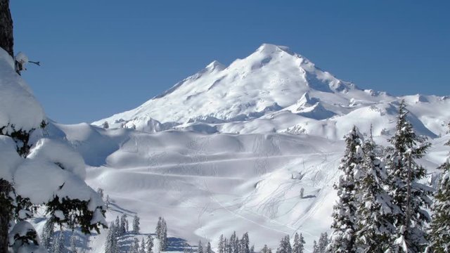 World Famous Mt Baker Ski and Snowboard Backcountry