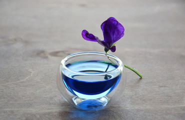 Fototapeta na wymiar Tea blue anchan and violet decorative flower Lathyrus odoratus butterfly-like flower