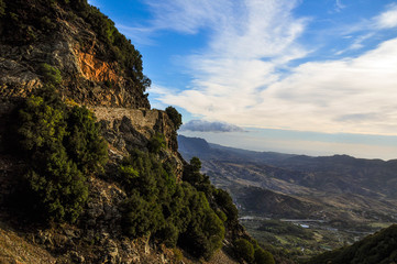 Fototapeta premium walking around open spaces with woods and flowers
