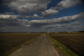 道路