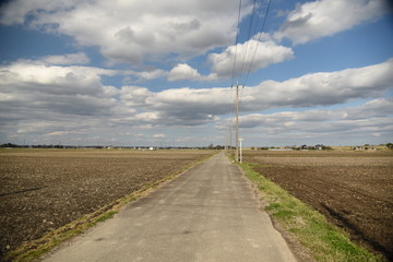 道路