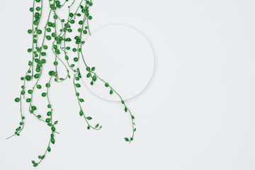 Creative layout made of papers and leaves Flat lay. Minimal nature concept.