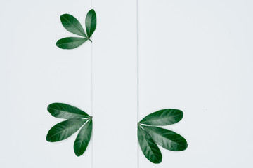 Creative layout made of papers and leaves Flat lay. Minimal nature concept.