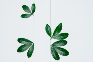 Naklejka premium Creative layout made of papers and leaves Flat lay. Minimal nature concept.