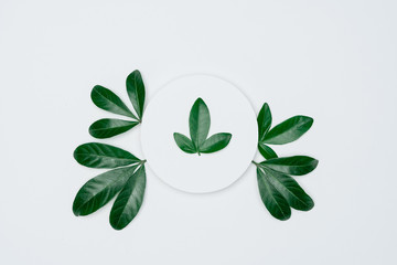 Creative layout made of papers and leaves Flat lay. Minimal nature concept.