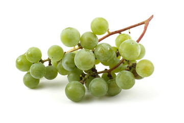 Cluster of wine grape