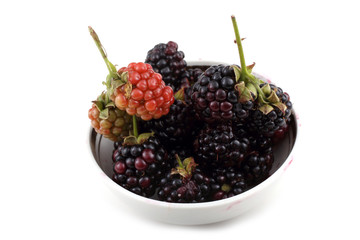 Blackberries on dish
