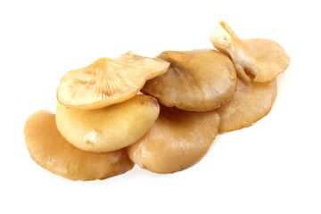 Yellow oyster mushrooms.