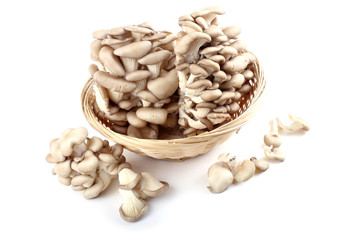 Oyster mushrooms on wicked plate