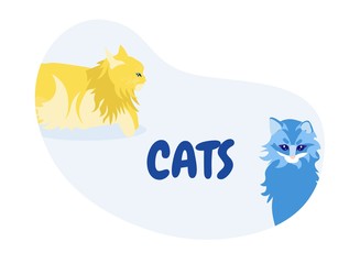 Cute Yellow and Blue Fluffy Cats Icon or Card with Lettering Isolated on White Background, Funny Pets, Greeting Card, Zoo Store, Veterinary Clinic Design Element, Cartoon Flat Vector Illustration