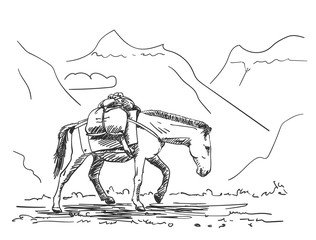 Mule walking in mountains with load on his back, This type of cargo transport widely used in himalayas, Vector sketch, Hand drawn illustration