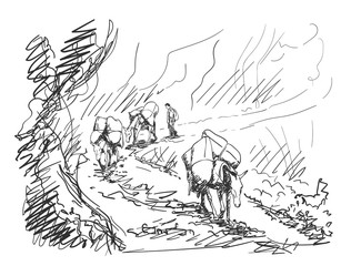 Mule caravan carrying load in mountains, This type of cargo transport widely used in himalayas, Vector sketch, Hand drawn illustration