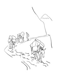 Mule caravan carrying load in mountains, This type of cargo transport widely used in himalayas, Vector sketch, Hand drawn linear illustration